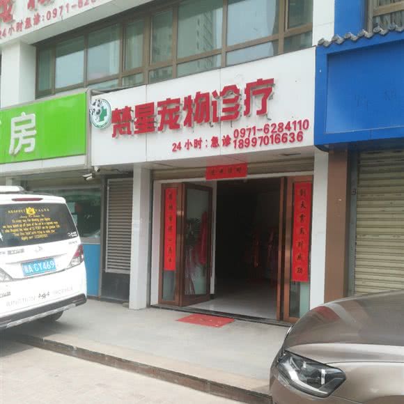 梵星宠物诊疗:西宁市城西区西郊附近
