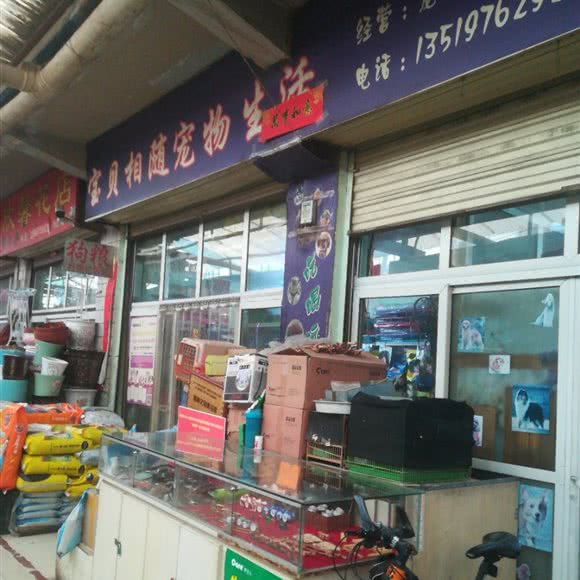 宝贝相随宠物生活:西宁市城北区小桥附近