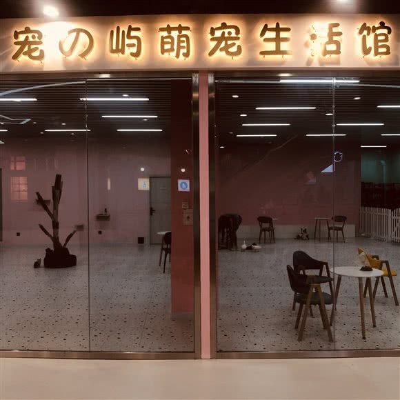 宠屿萌宠生活馆:银川市兴庆区新华附近