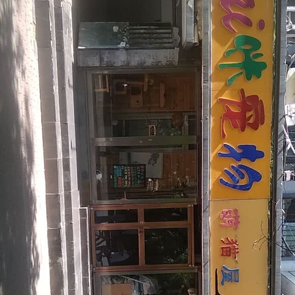 ai咪宠物:银川市兴庆区湖滨街附近