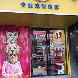 遛点伴宠物:银川市兴庆区湖滨街附近