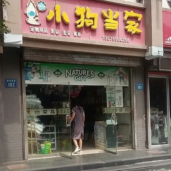 小狗当家(湖滨西街店):银川市兴庆区光明广场附近