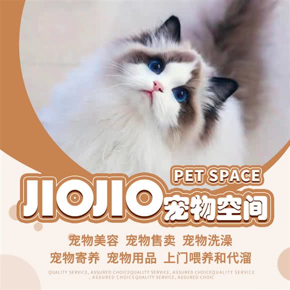 jiojio宠物空间:北京城区朝阳区常营附近