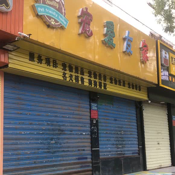 宠爱友家:银川市兴庆区中山公园附近