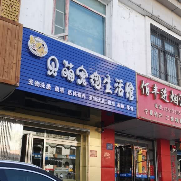 贝萌宠物生活馆:银川市兴庆区文化街附近