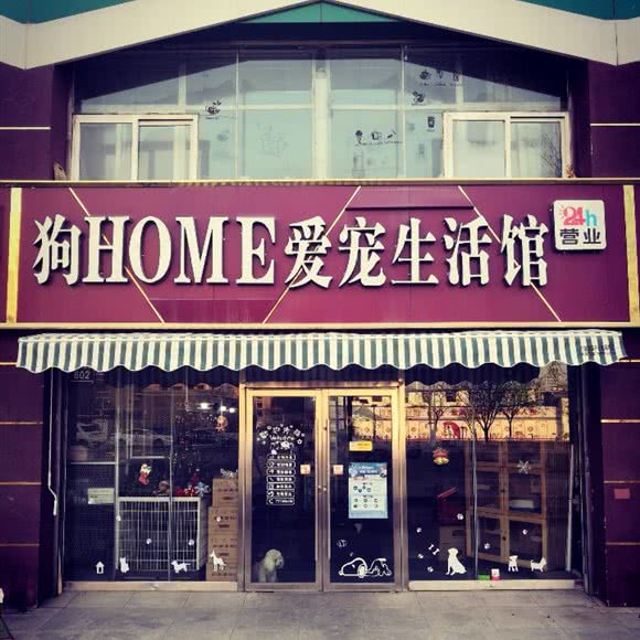 狗HOME爱宠生活馆:银川市兴庆区新月广场附近