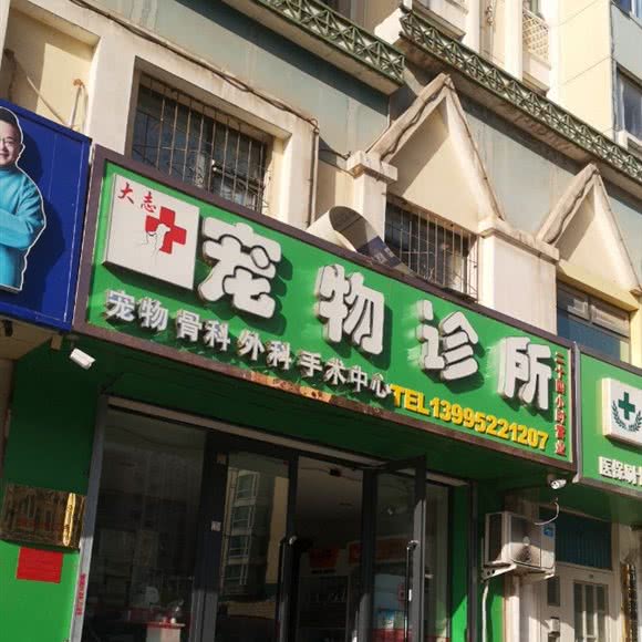 大志宠物诊所:银川市兴庆区新月广场附近
