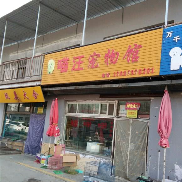 喵汪宠物馆:银川市兴庆区医科大附属医院附近