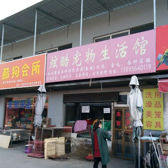 炫酷宠物生活馆:银川市兴庆区医科大附属医院附近