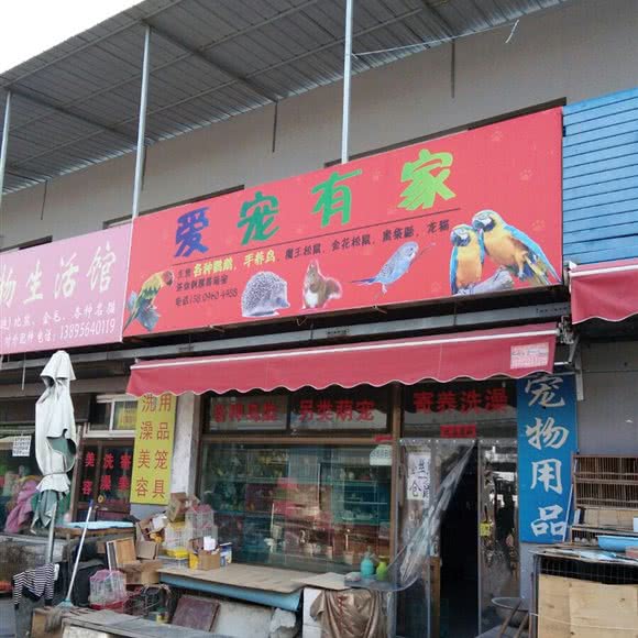 爱宠有家:银川市兴庆区医科大附属医院附近