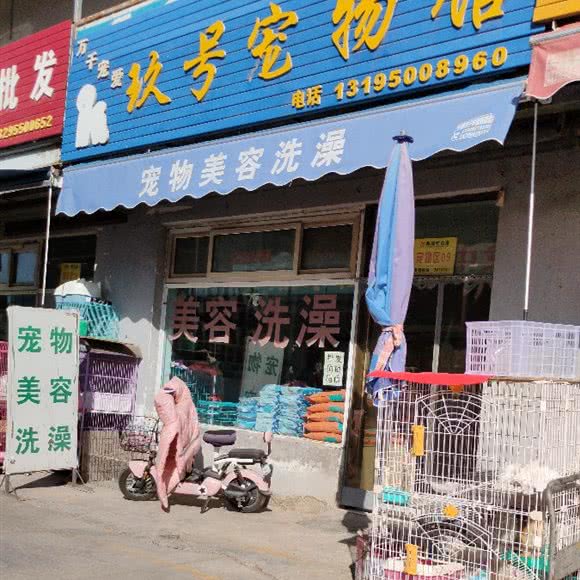 玖号宠物馆:银川市兴庆区医科大附属医院附近