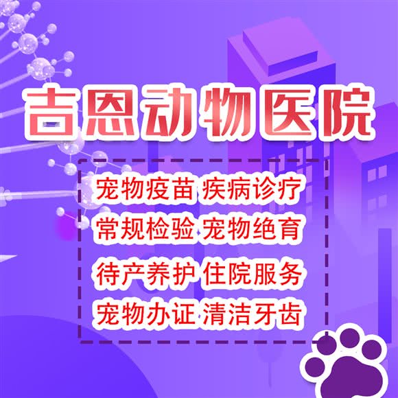 吉恩动物医院·内视镜微创手术中心·异宠专科:银川市兴庆区医科大附属医院附近