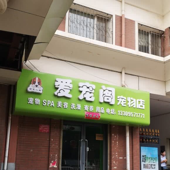 爱宠阁宠物店:银川市兴庆区香渔王子附近