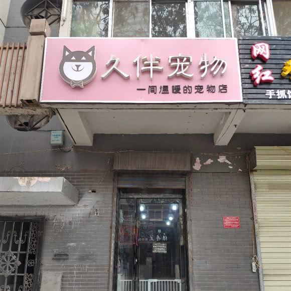 久伴宠物:银川市兴庆区玉皇阁北街附近
