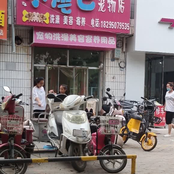 小尾巴宠物店:银川市兴庆区石油城附近