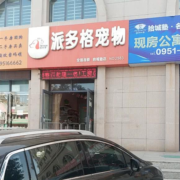 派多格狗狗:银川市兴庆区宝湖东路附近