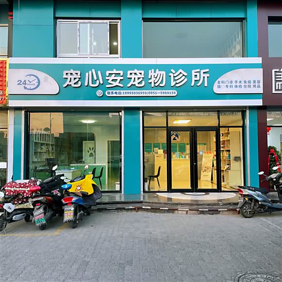 宠心安宠物诊所:银川市兴庆区宝湖东路附近