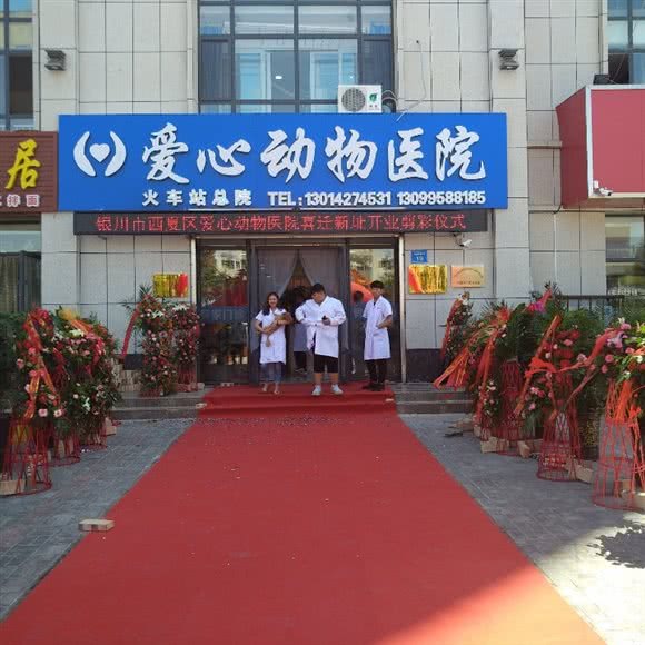 爱心动物医院:银川市西夏区西花园附近