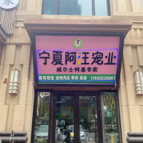 宁夏阿汪宠业:银川市西夏区西夏万达附近