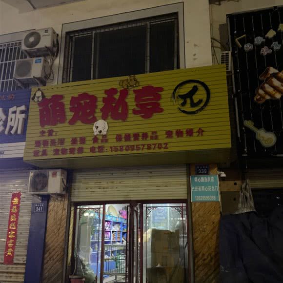 萌宠私享:银川市西夏区同心路附近