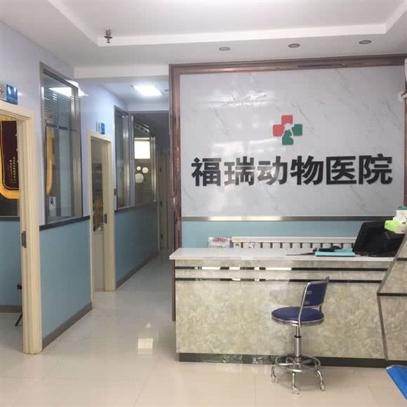 福瑞动物医院:银川市金凤区金凤万达附近