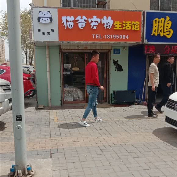 猫爸宠物生活馆:银川市金凤区新城附近