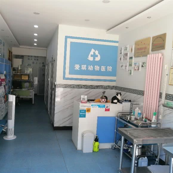 爱琪动物医院(新城分院):银川市金凤区新城附近