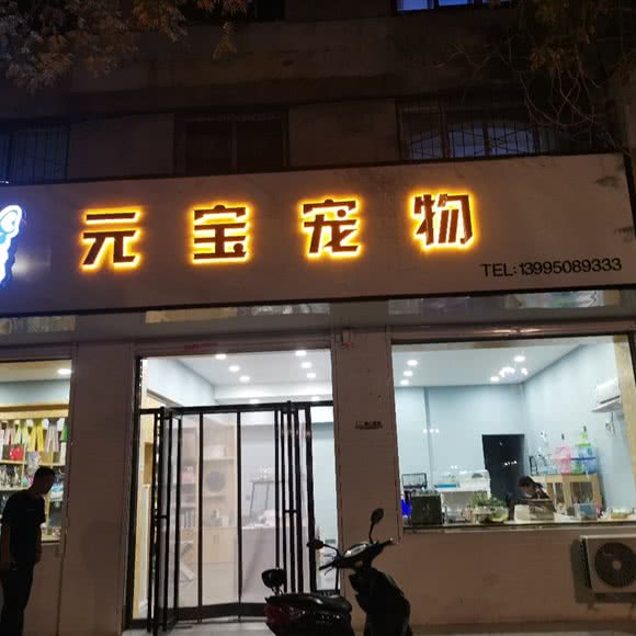 元宝宠物:银川市金凤区良田附近附近