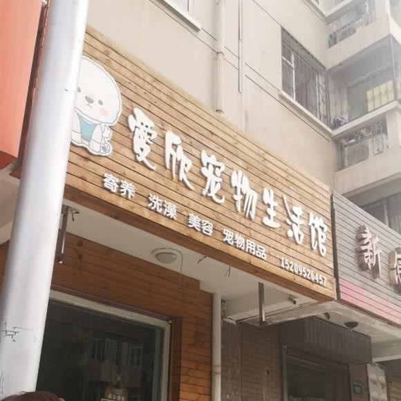 爱欣宠物生活馆:银川市金凤区唐槐园附近