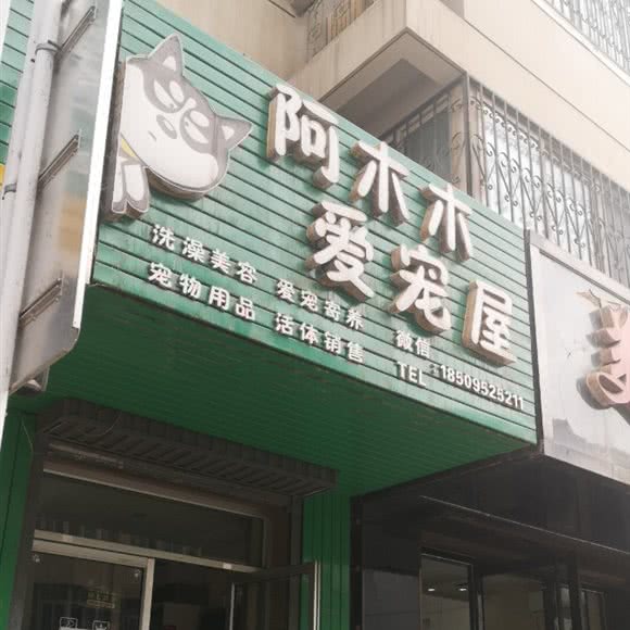 阿木木爱宠屋:银川市金凤区唐槐园附近