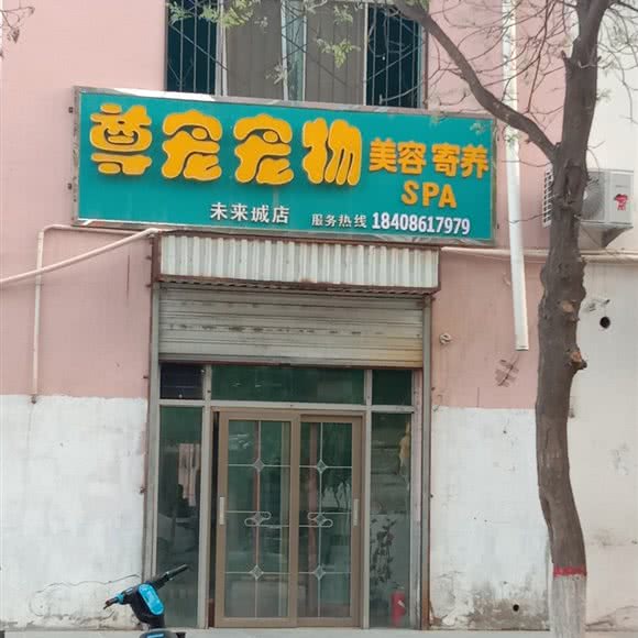 尊宠宠物:银川市金凤区火车站附近