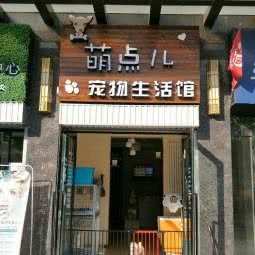 萌点儿宠物生活馆:银川市金凤区福州街附近