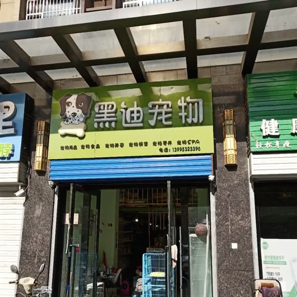 黑迪宠物:银川市金凤区福州街附近