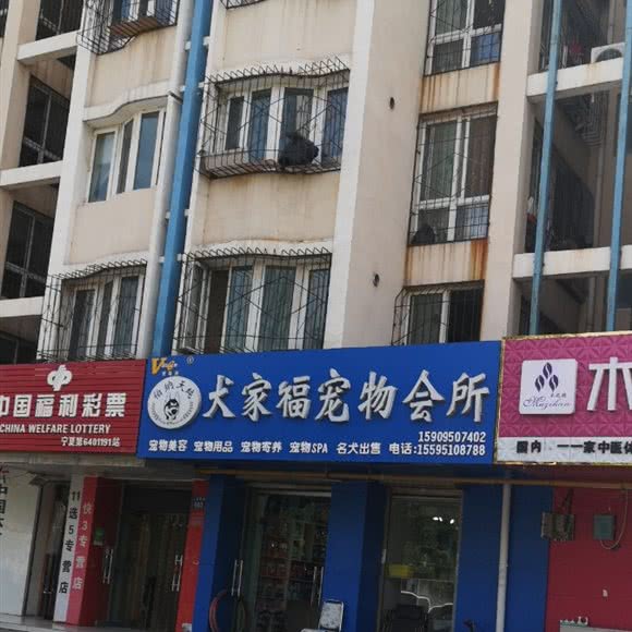 犬家福宠物会所(上海西路店):银川市金凤区福州街附近
