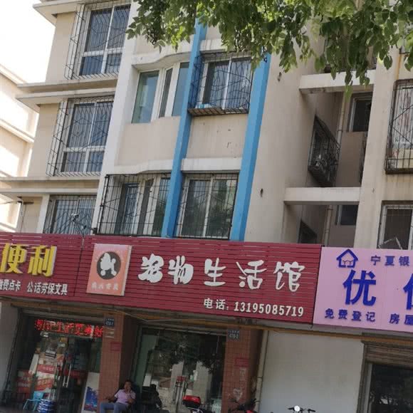 良犬齐美宠物生活馆:银川市金凤区福州街附近