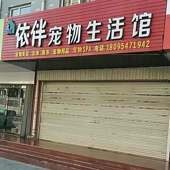 依伴宠物狗生活馆:银川市金凤区紫园小区附近
