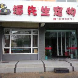 派先生宠物:银川市金凤区长城花园附近