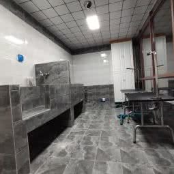 派老先生宠物:银川市金凤区宁安大街附近