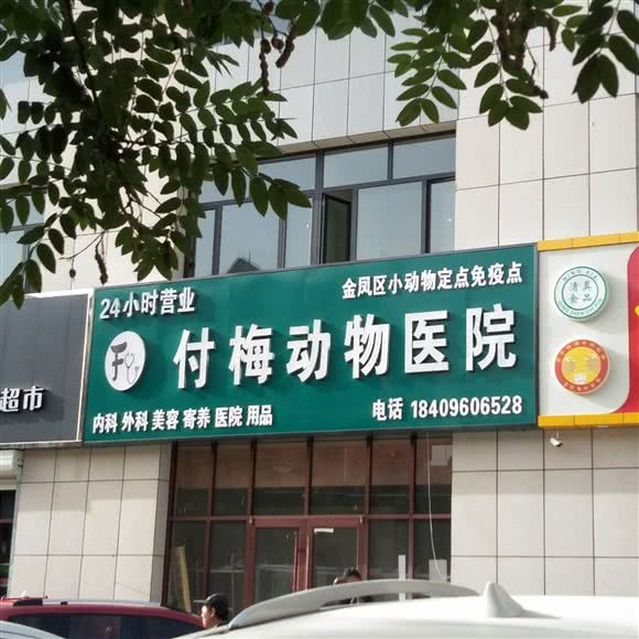 付梅动物医院:银川市金凤区宁安大街附近