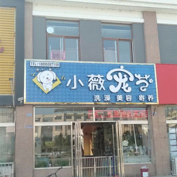小薇宠艺:银川市金凤区森林九里附近