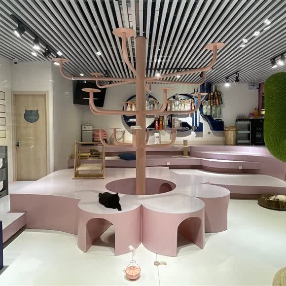 狗出没宠物(建发·大阅城店):银川市金凤区建发大阅城附近