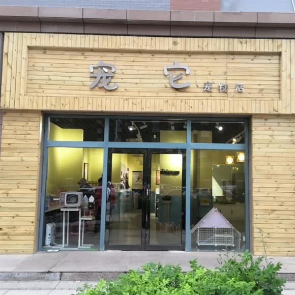 宠它宠物店:银川市金凤区开发区附近
