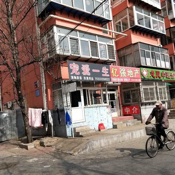 宠爱一生宠物美容:秦皇岛市海港区建国路附近