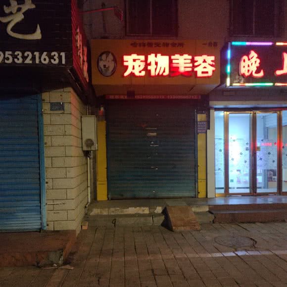 宠物美容(一分店):石嘴山市大武口区鑫鑫家苑附近