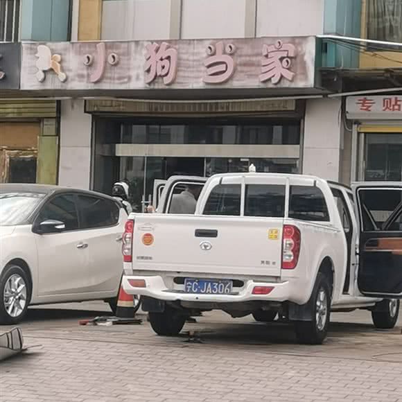 小狗当家:石嘴山市惠农区清华街附近