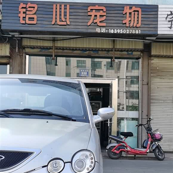 铭心宠物会所:石嘴山市惠农区清华街附近