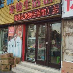 蓝精灵宠物生活馆:秦皇岛市海港区秦皇小区附近