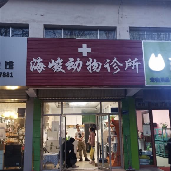 海峻动物诊所:中卫市沙坡头区鼓楼南街附近