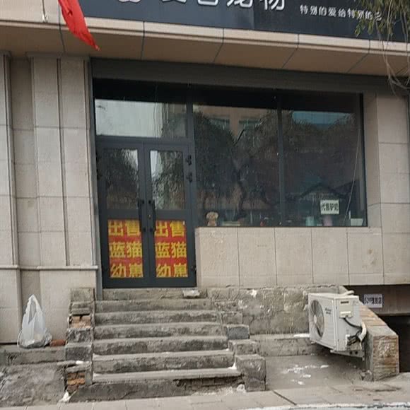 爱它宠物:乌鲁木齐市天山区新民路附近