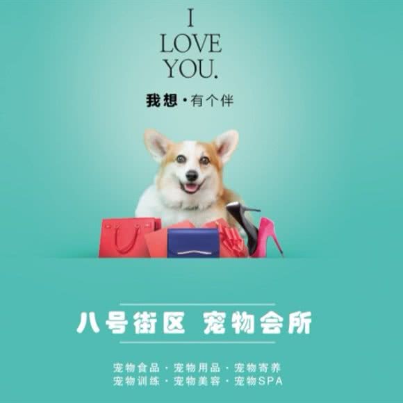 8号街区宠物会所(红山路店):乌鲁木齐市天山区红山路附近